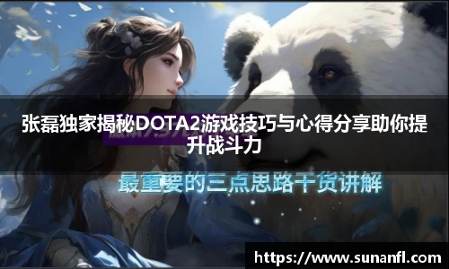 张磊独家揭秘DOTA2游戏技巧与心得分享助你提升战斗力
